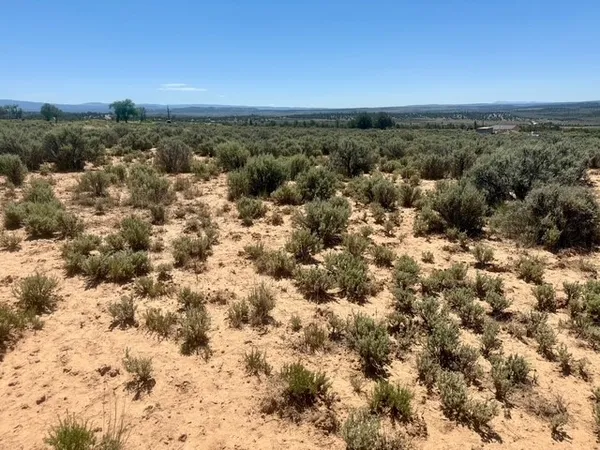 $34,000 | 3231 Nm-112, Tierra Amarilla, NM 87575