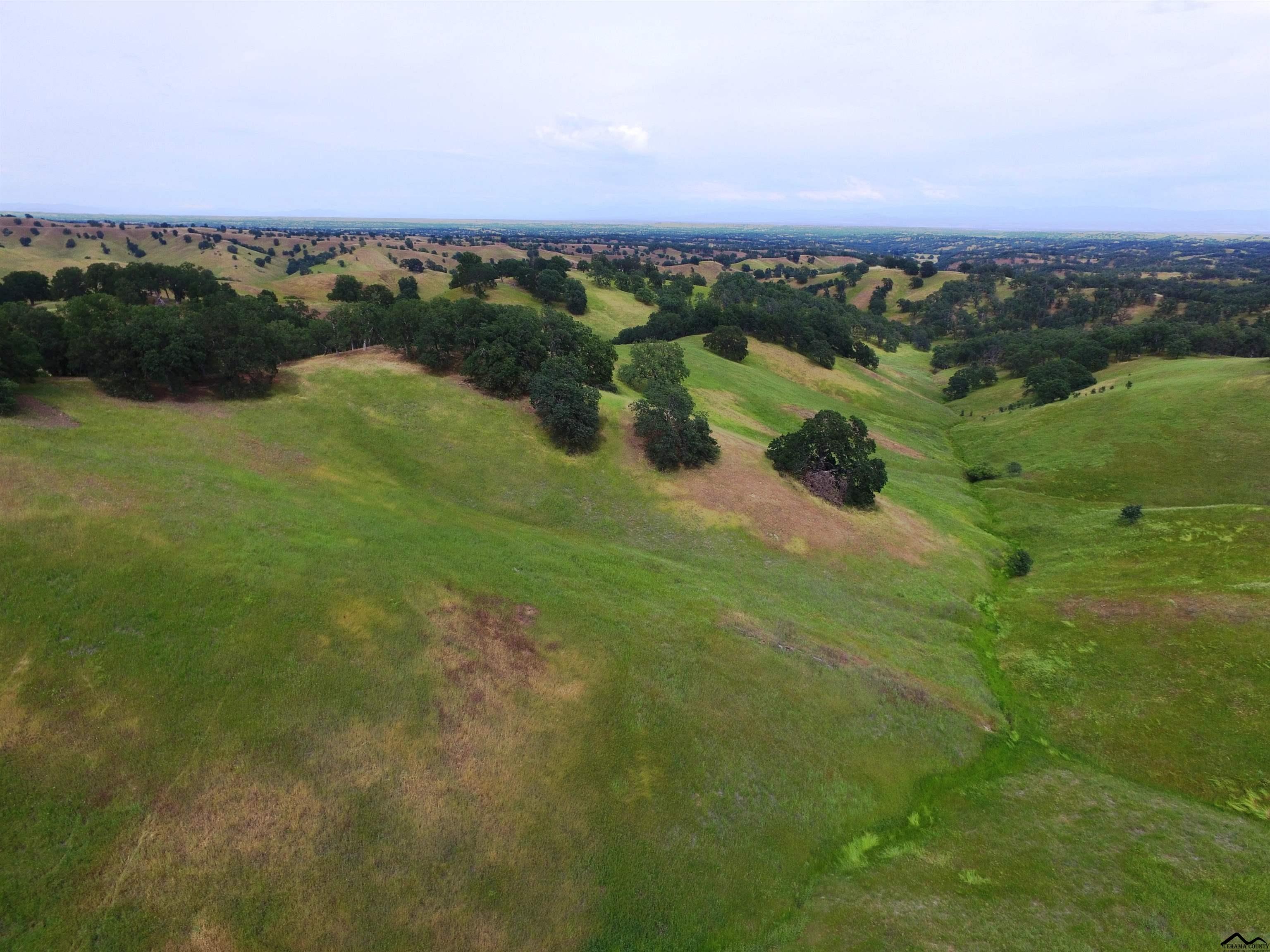 0 Moody Road Red Bluff, CA 96080 - Photo 2 of 6