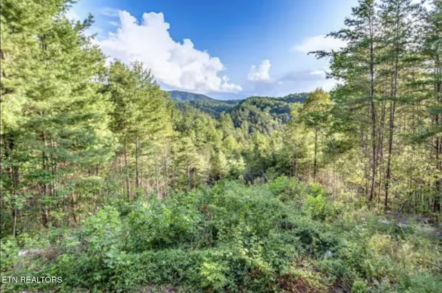 $1,250,000 | 4206 Mountain Rest Way, Sevierville, TN 37876