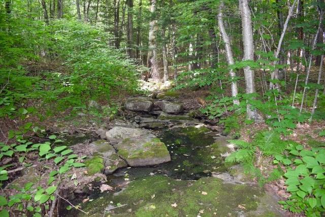 897 Center Minot Hill Road Minot, ME 04258 - Photo 25 of 26 Photo
