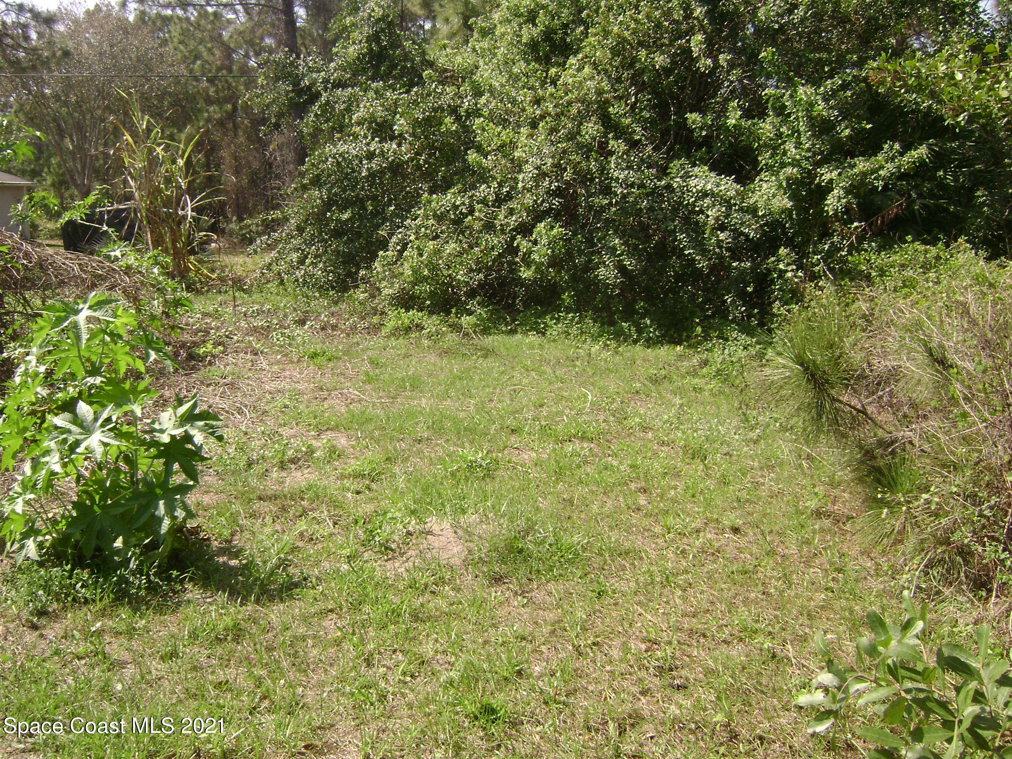 2750 Felix Road Southeast Palm Bay, FL 32909 - Photo 24 of 26 Felix 022