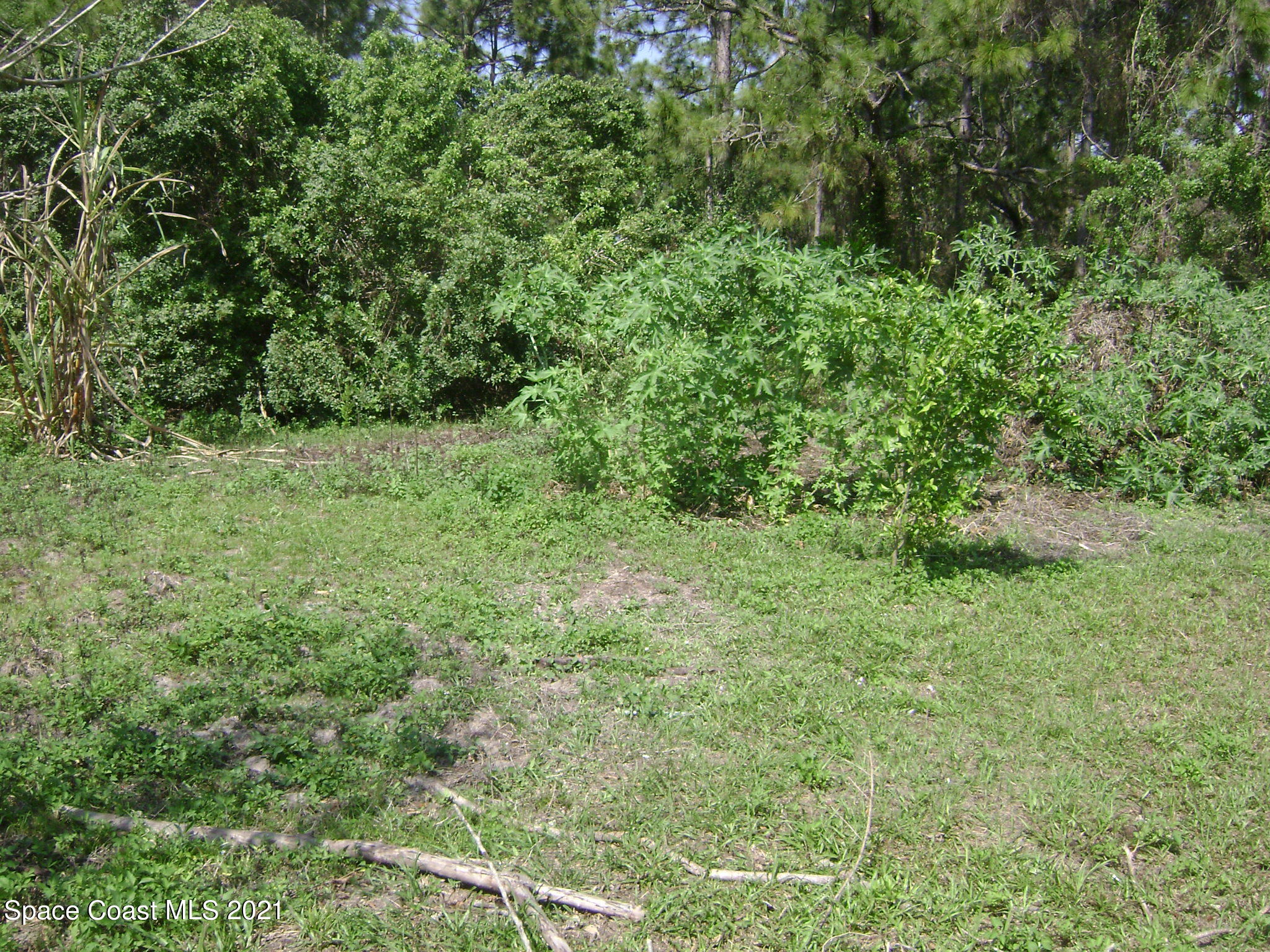 2750 Felix Road Southeast Palm Bay, FL 32909 - Photo 26 of 26 Felix 028