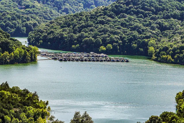 a view of a basket ball ground
