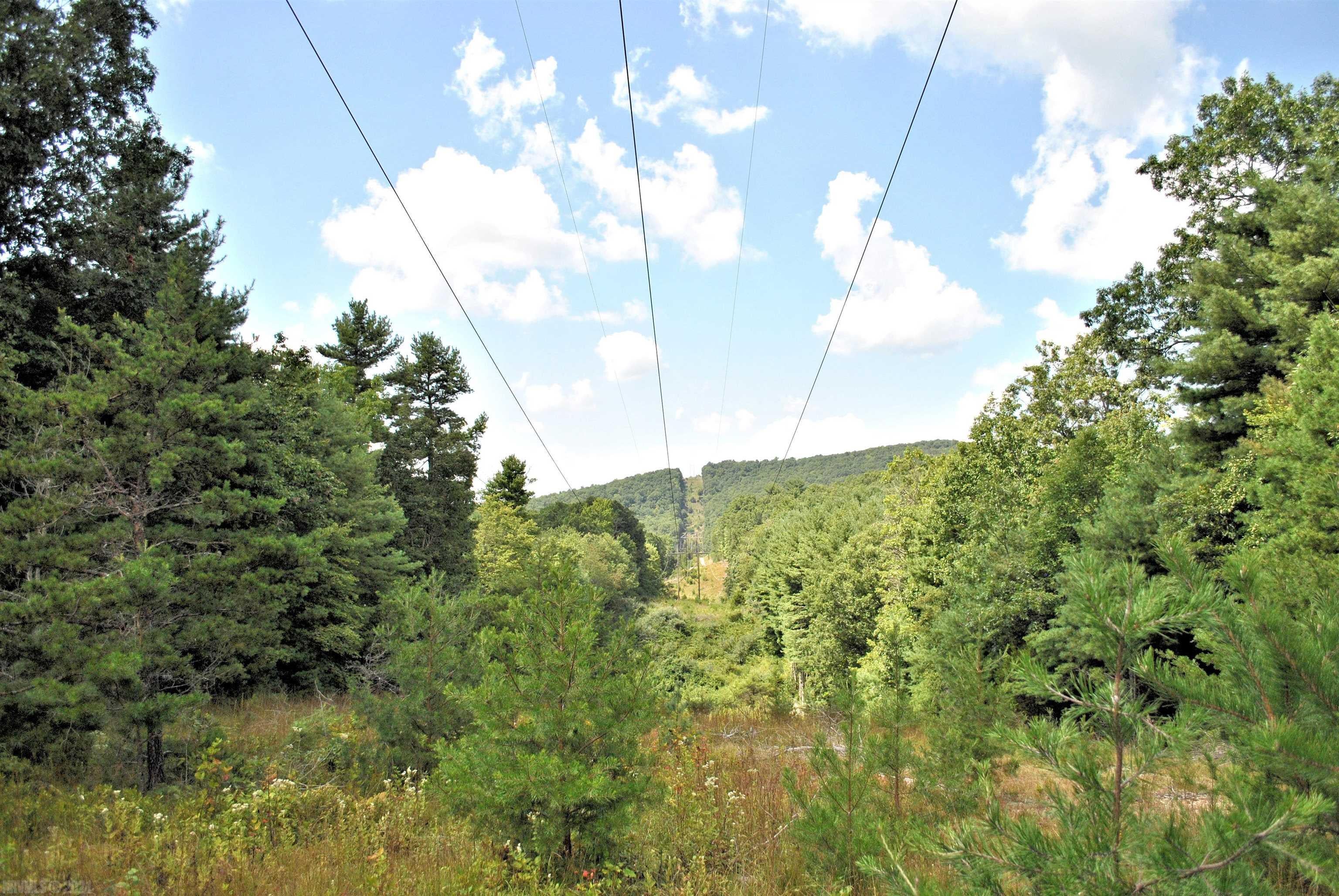 Tbd 153.054-ac Tbd 153.054-ac Chestnut Ridge Road Riner, VA 24149 - Photo 13 of 31 Gallery Image 13