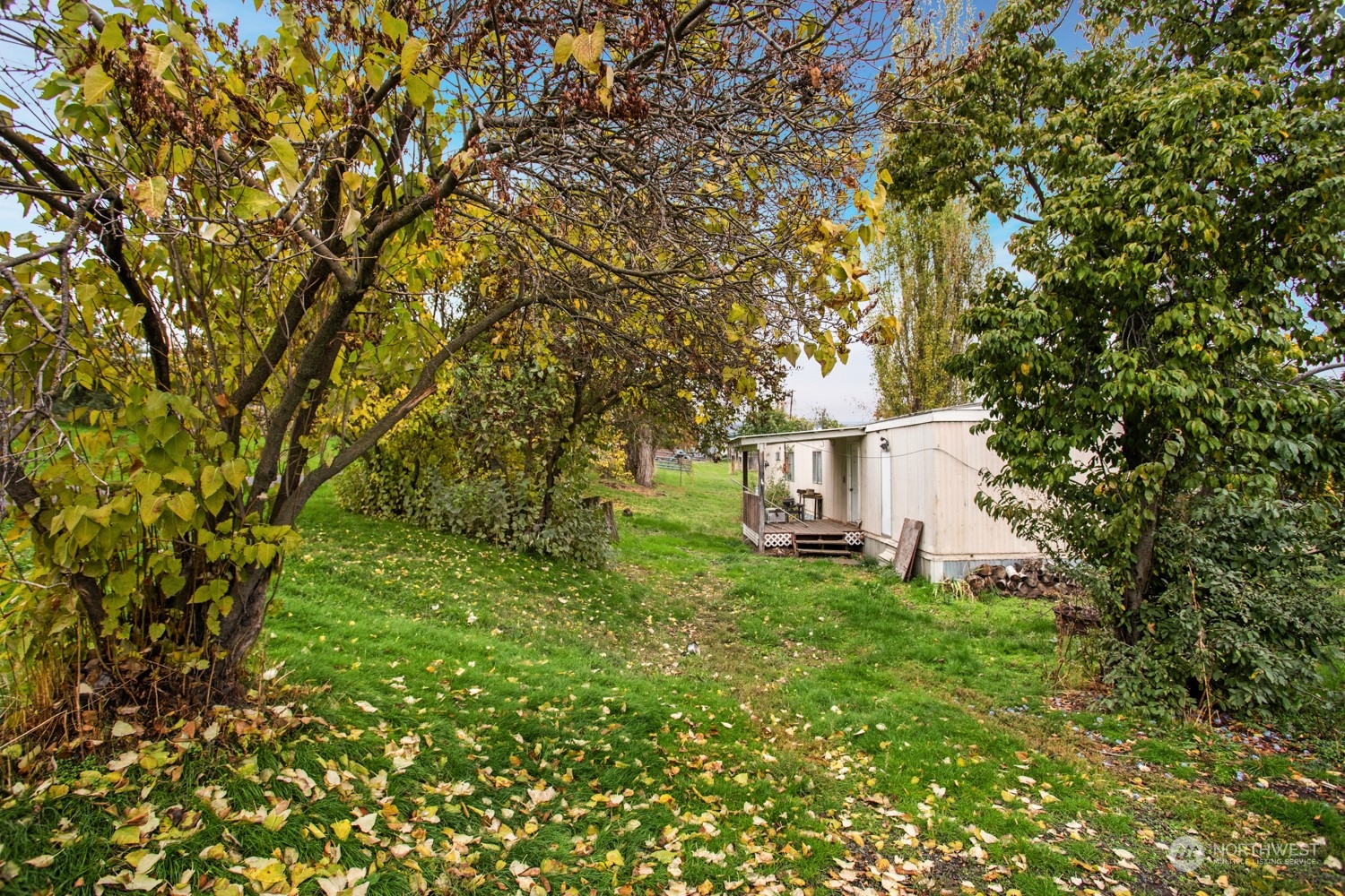 44 Cornwall Street Dixie, WA 99329 - Photo 5 of 7 Gallery Image 5
