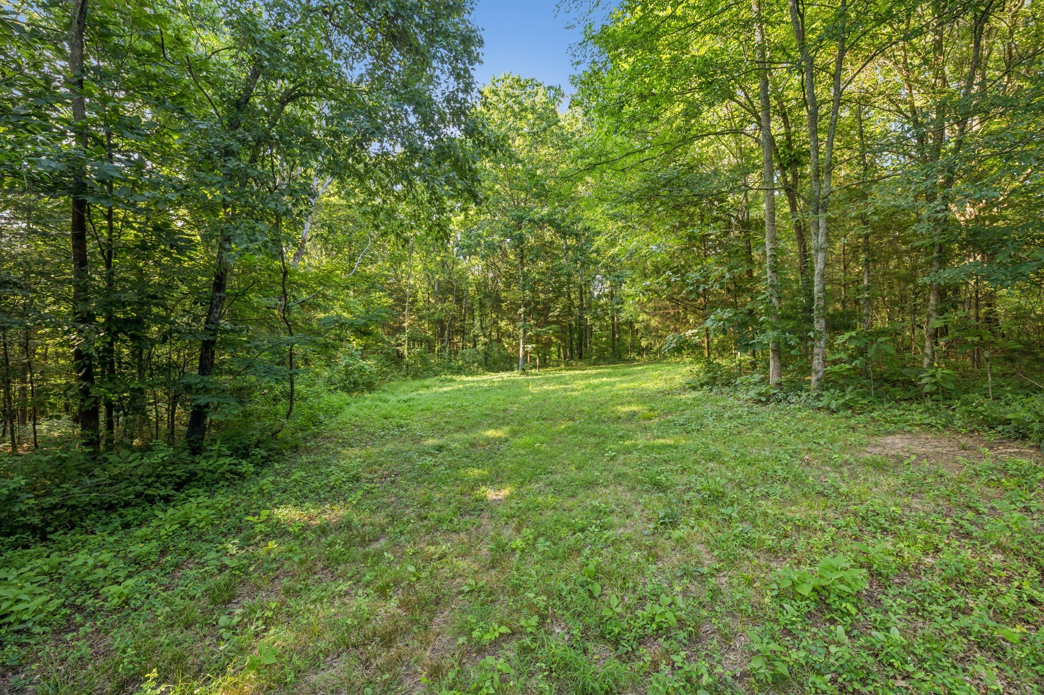 2650 Finley Ridge Lane Nolensville, TN 37135 - Photo 95 of 100