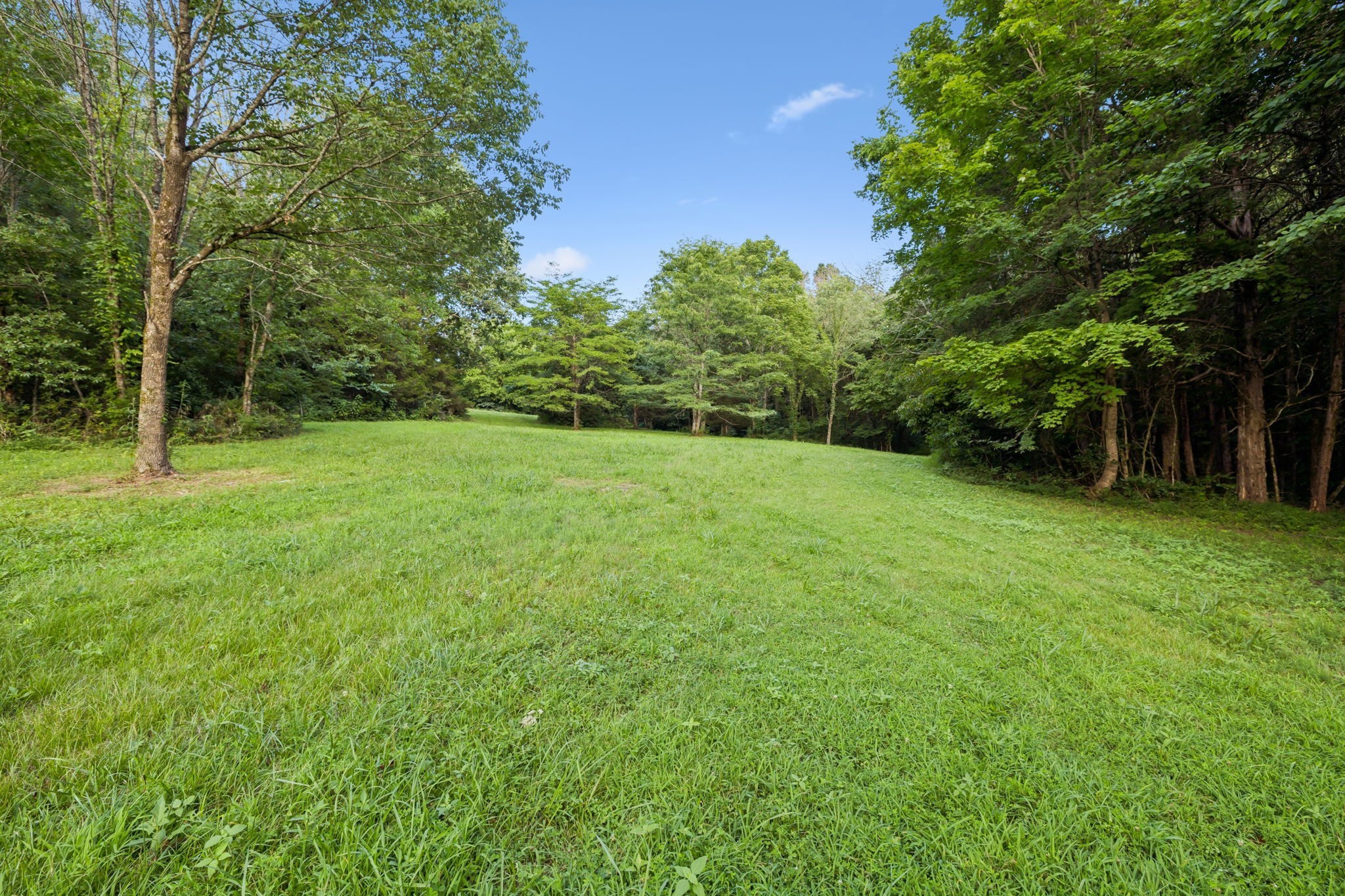 2650 Finley Ridge Lane Nolensville, TN 37135 - Photo 97 of 100