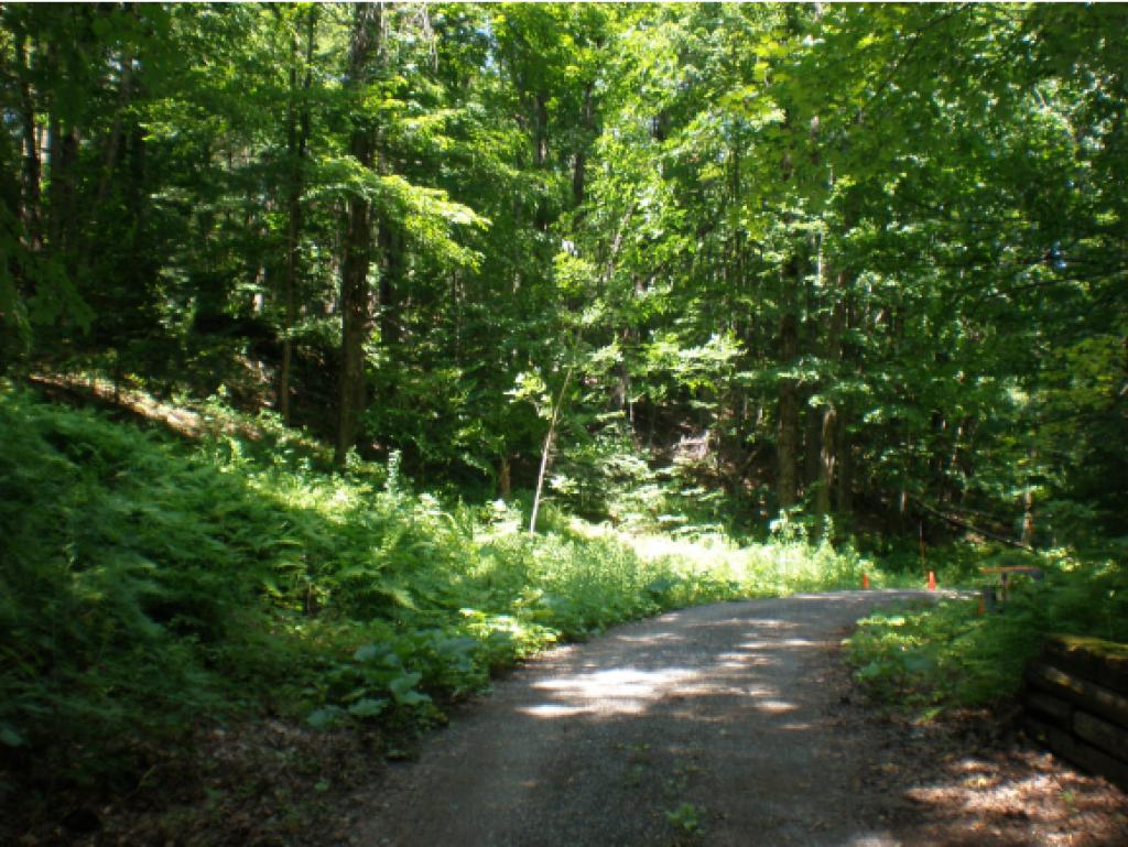 96 Catella Road Essex, VT 05452 - Photo 9 of 13 Gallery Image 9