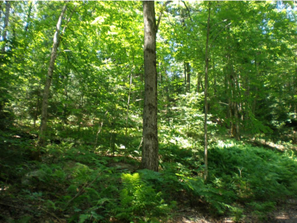 96 Catella Road Essex, VT 05452 - Photo 10 of 13 Gallery Image 10