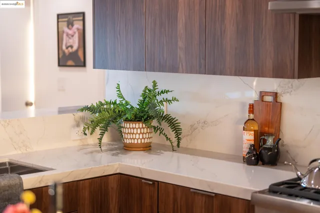 a sink with a potted plant