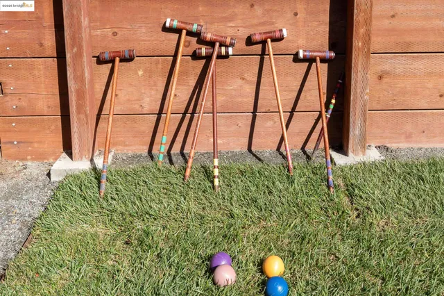 a close view of a backyard