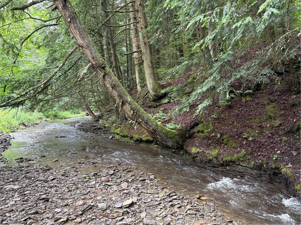 Stage Road South Otselic, NY 13155 - Photo 18 of 29