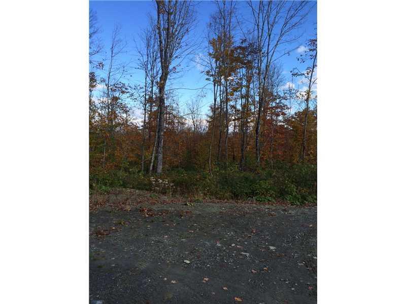 Tbd Bradley Brook Road Greenville, ME 04441 - Photo 2 of 2 Land.