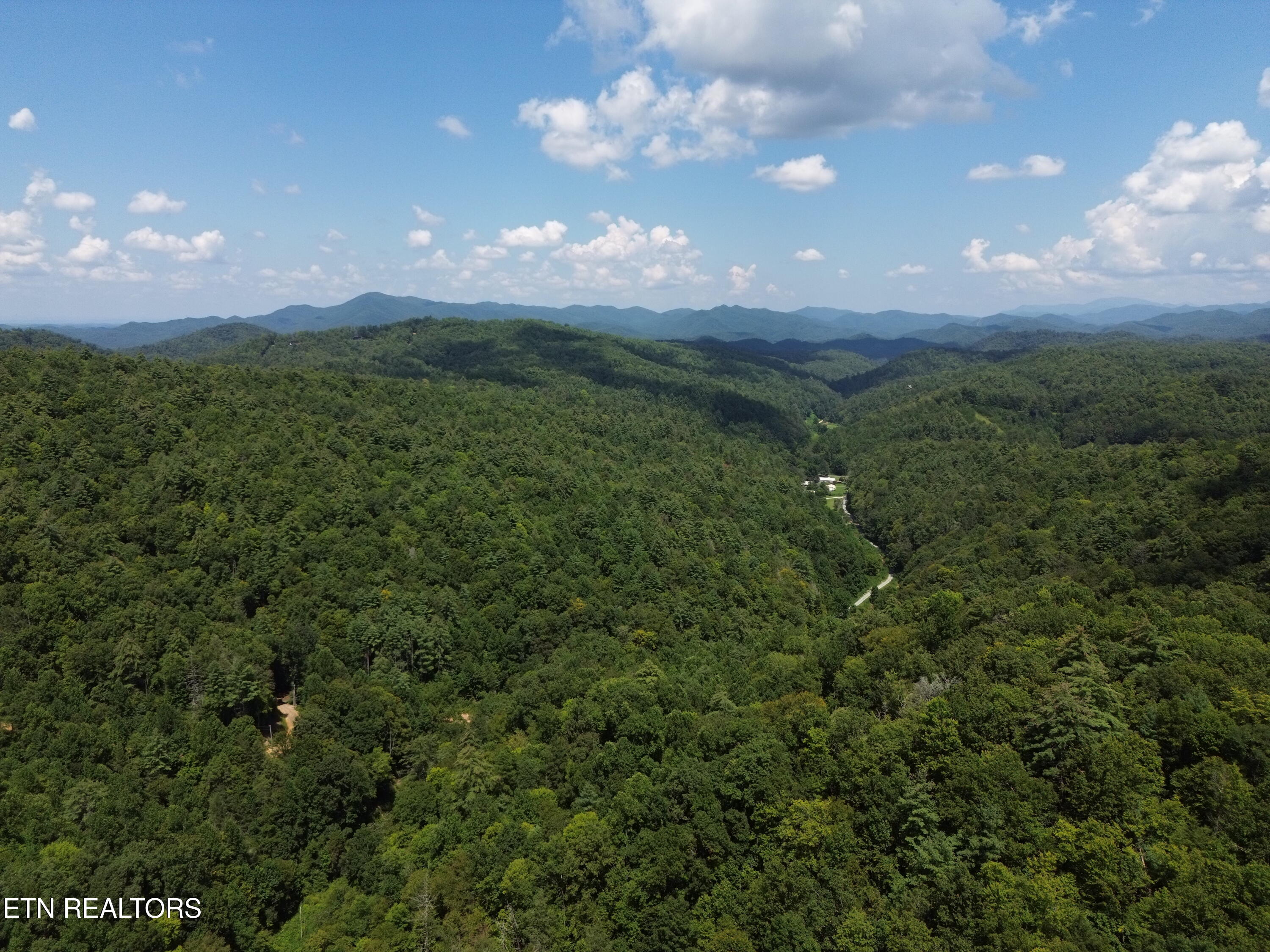 Bull Mountain Road Del Rio, TN 37727 - Photo 2 of 26 DJI_0126_50