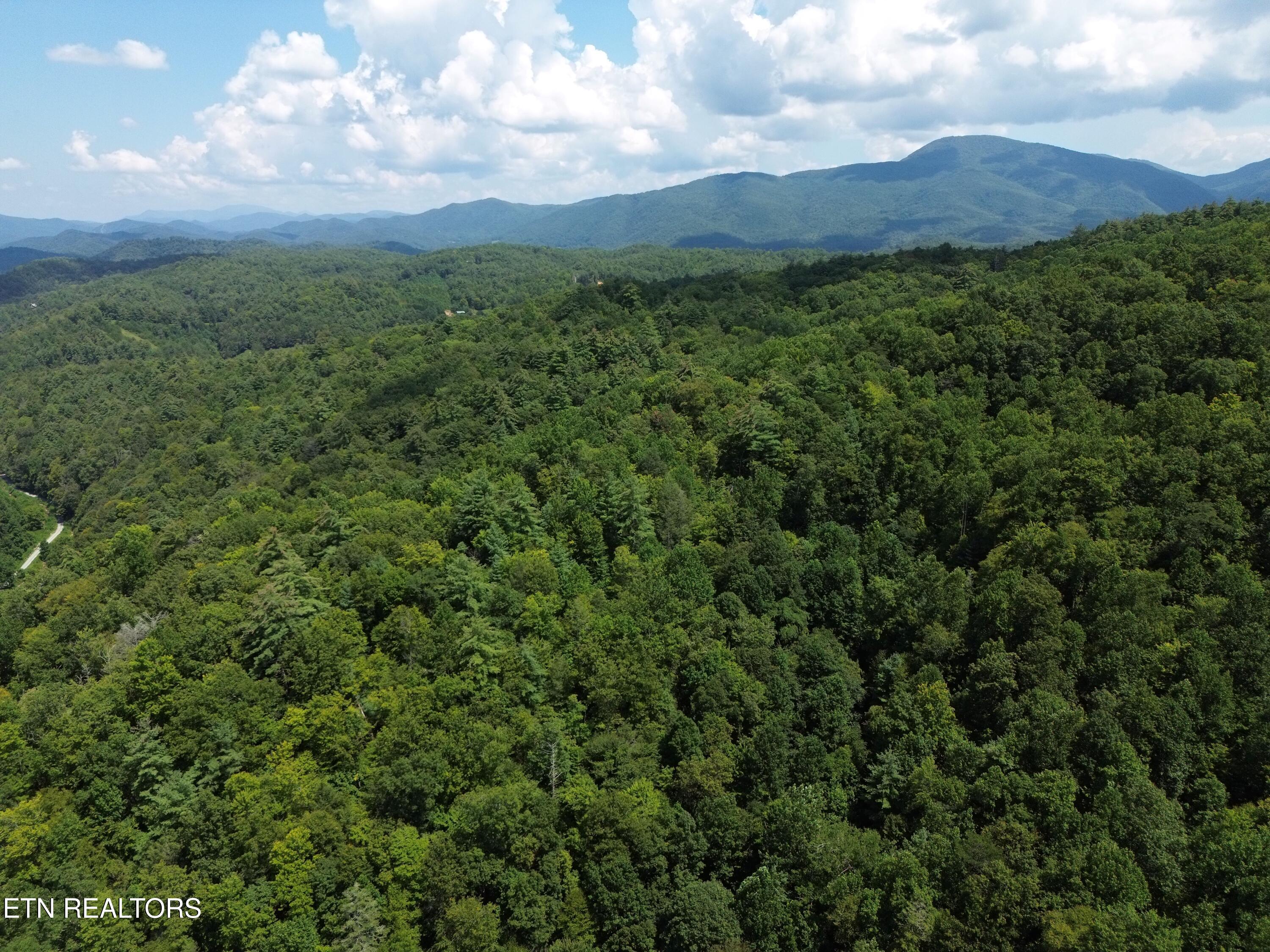 Bull Mountain Road Del Rio, TN 37727 - Photo 3 of 26 DJI_0127