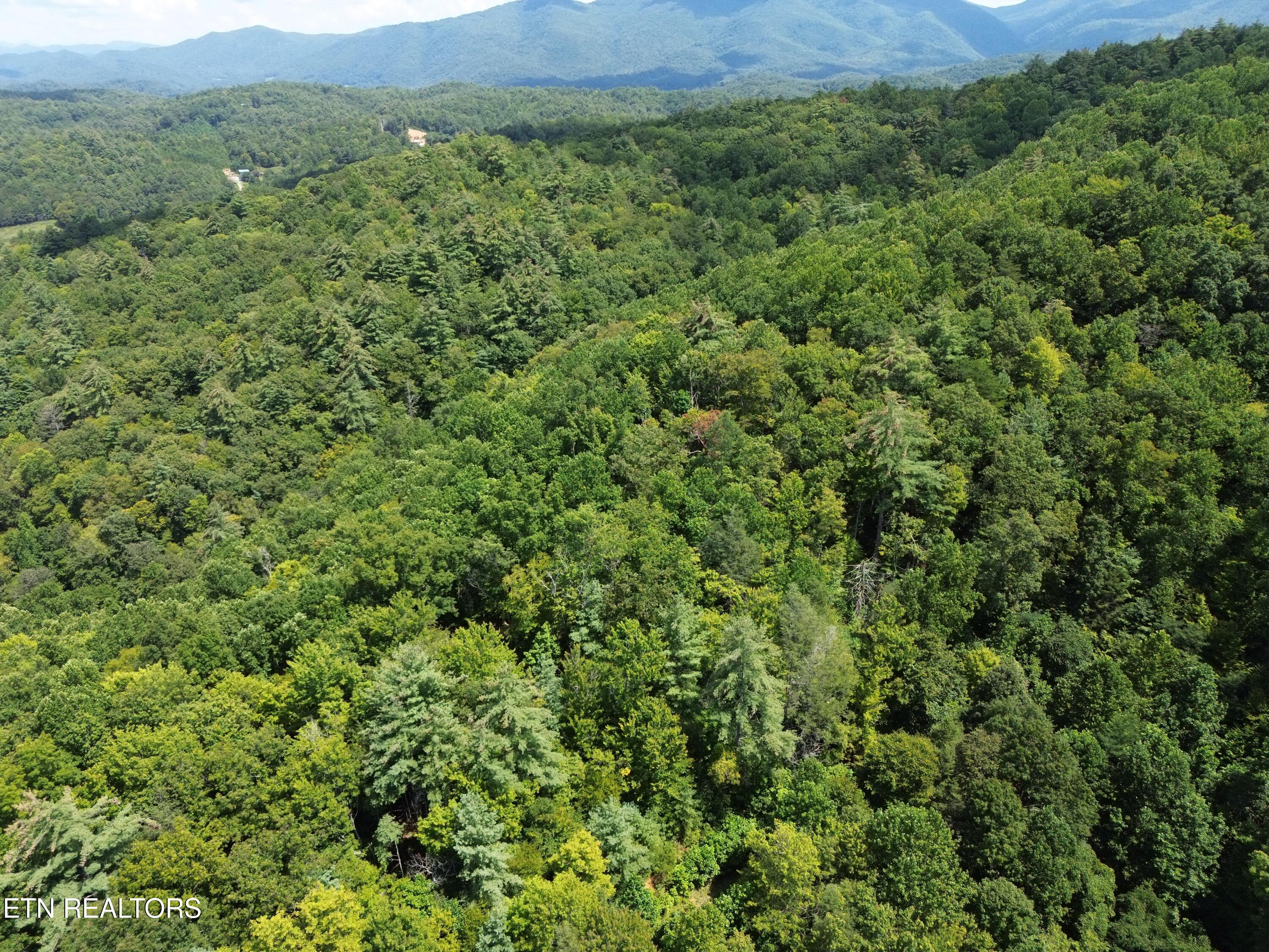 Bull Mountain Road Del Rio, TN 37727 - Photo 6 of 26 DJI_0130
