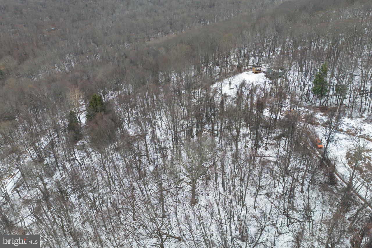 0 Park Line Road Stanley, VA 22851 - Photo 13 of 18 Gallery Image 13