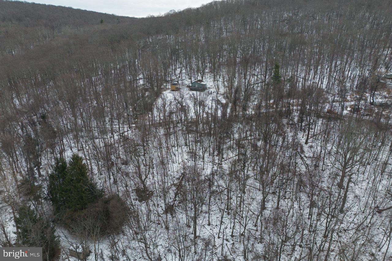 0 Park Line Road Stanley, VA 22851 - Photo 14 of 18 Gallery Image 14