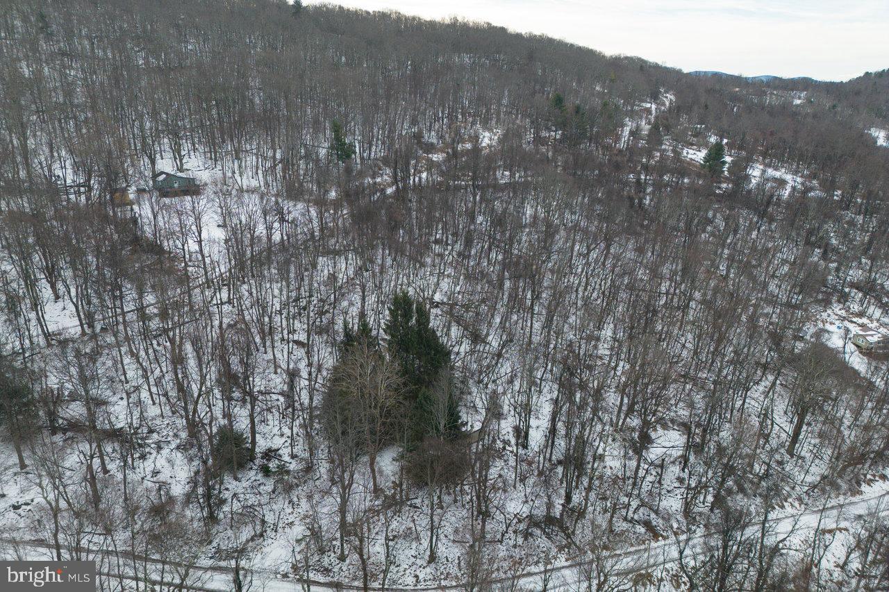 0 Park Line Road Stanley, VA 22851 - Photo 16 of 18 Gallery Image 16