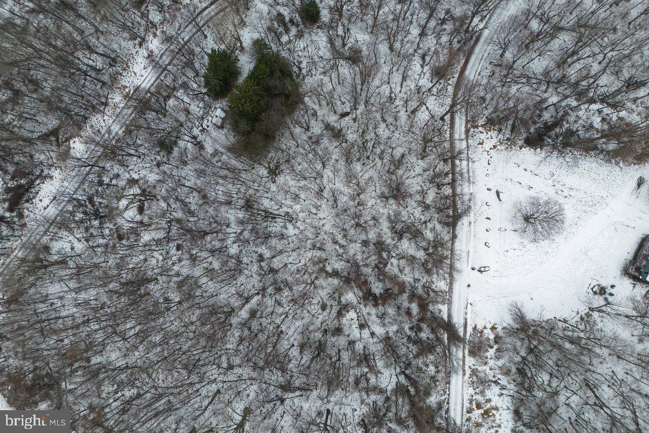 0 Park Line Road Stanley, VA 22851 - Photo 10 of 18 Gallery Image 10