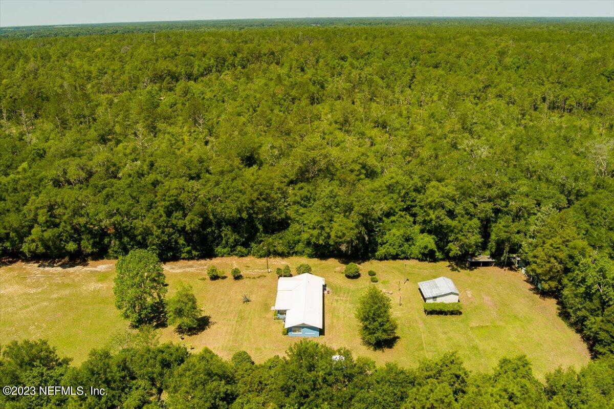 208 Tinsley Road Florahome, FL 32140 - Photo 34 of 71 a view of yard and swimming pool