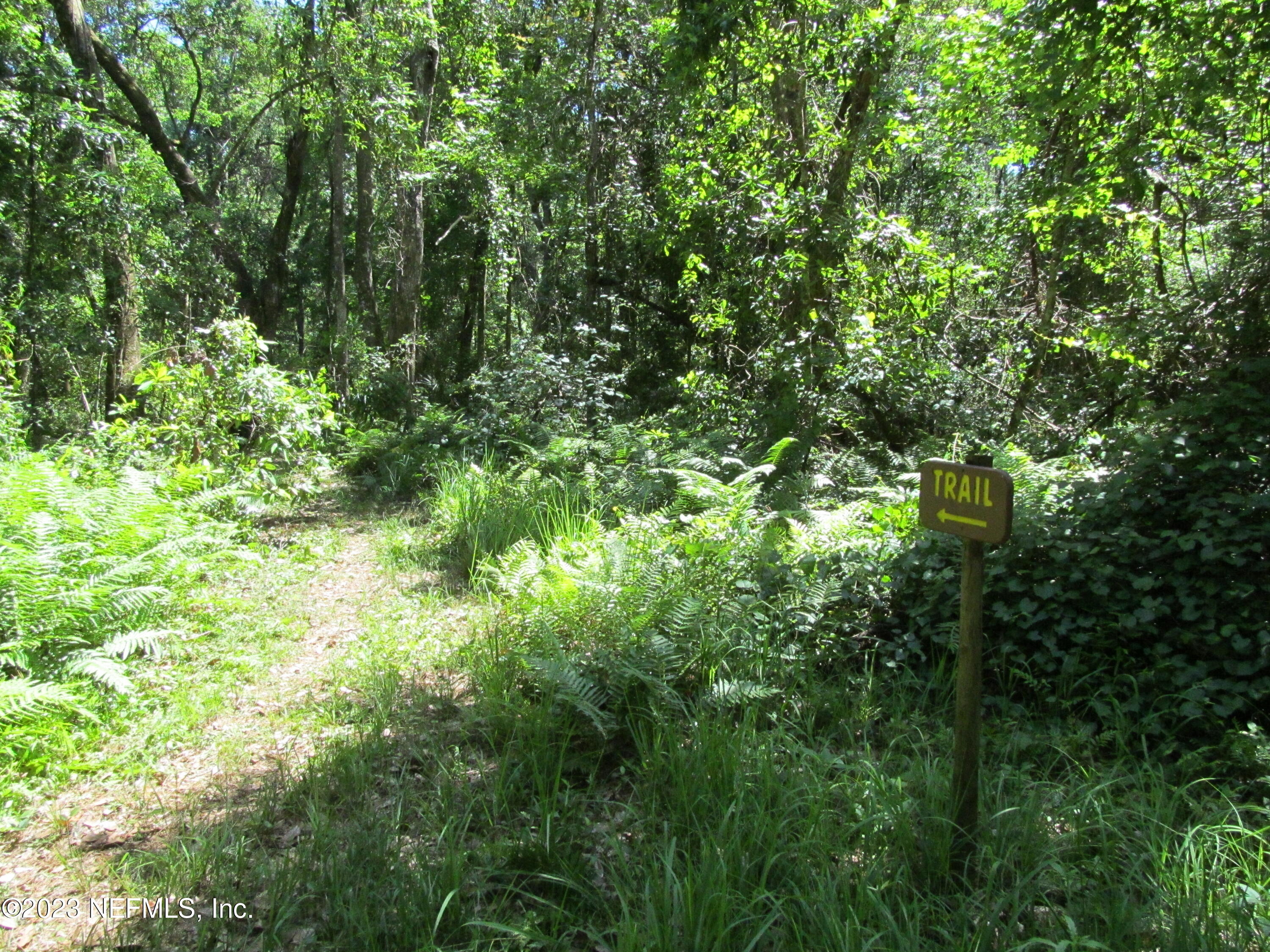 208 Tinsley Road Florahome, FL 32140 - Photo 43 of 71 a view of a lush green forest