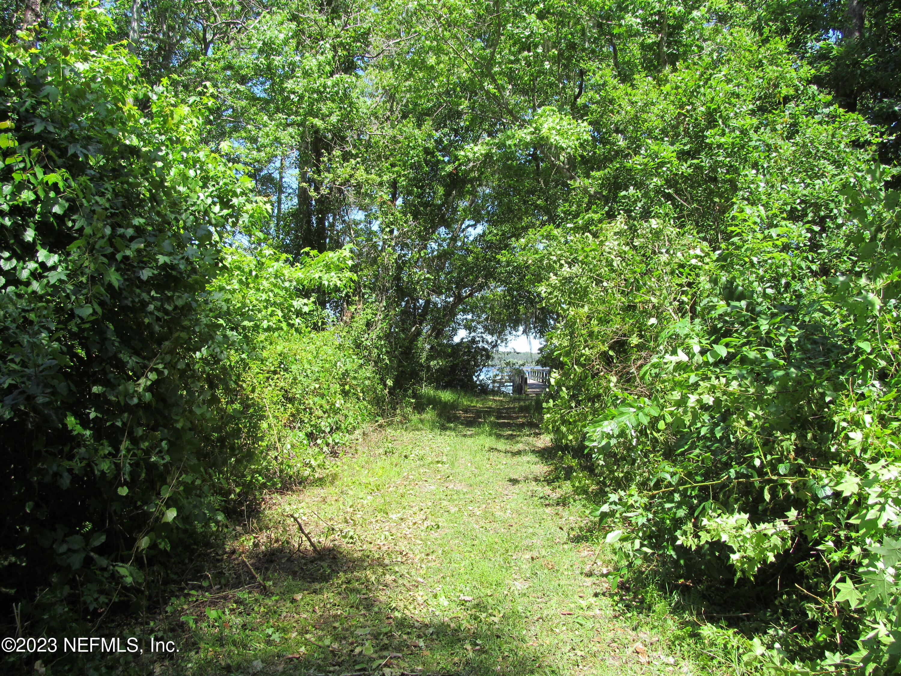 208 Tinsley Road Florahome, FL 32140 - Photo 44 of 71 Trails to water