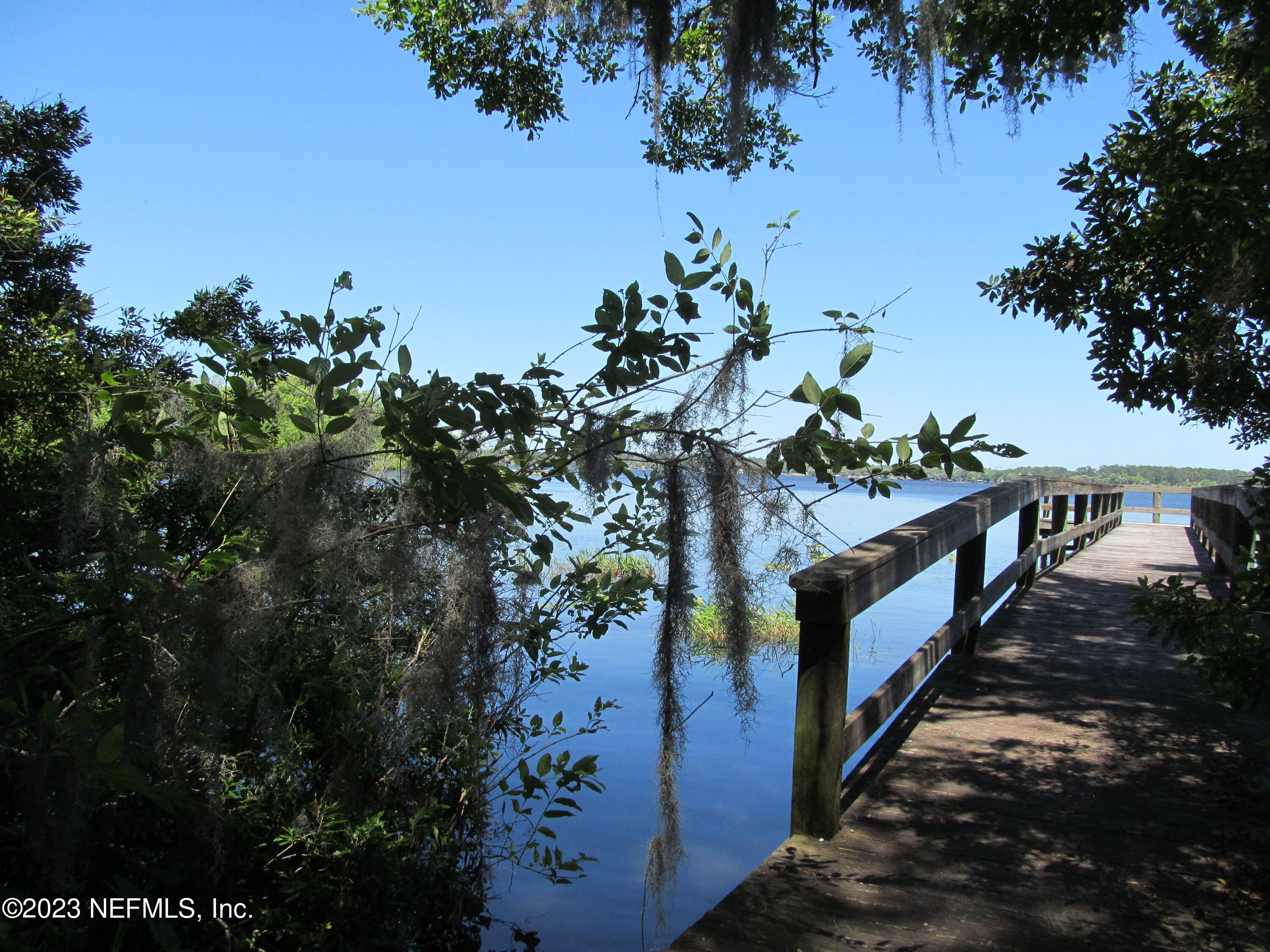 208 Tinsley Road Florahome, FL 32140 - Photo 46 of 71 a view of a house with a tree