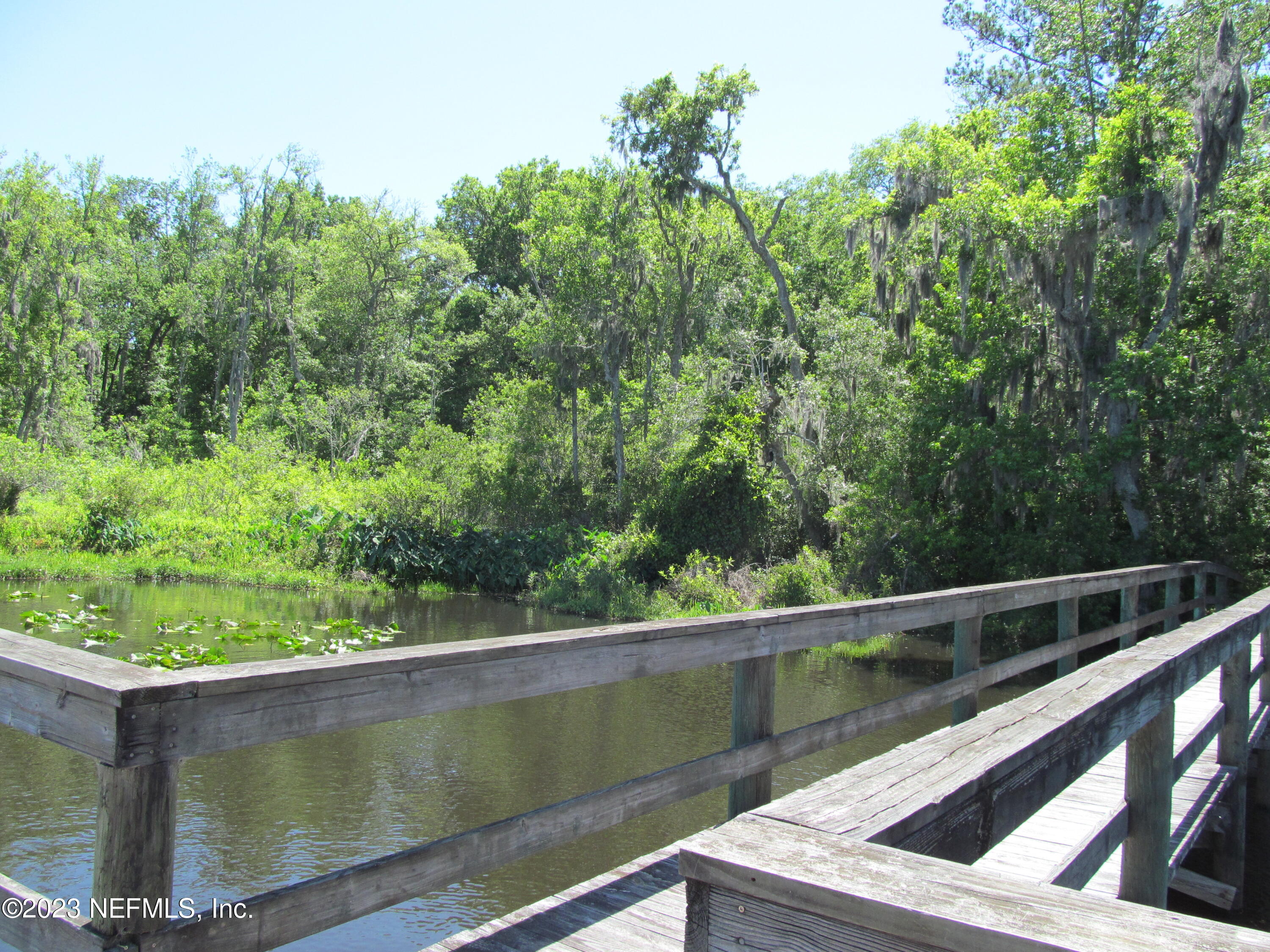 208 Tinsley Road Florahome, FL 32140 - Photo 52 of 71 IMG_3506