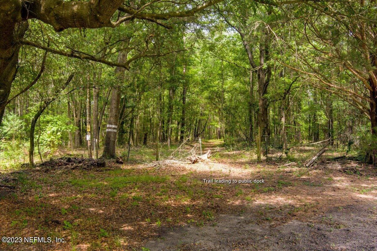 208 Tinsley Road Florahome, FL 32140 - Photo 57 of 71 a backyard of a house with lots of green space