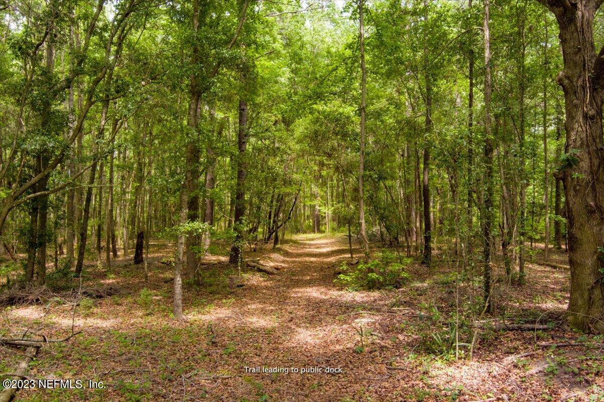 208 Tinsley Road Florahome, FL 32140 - Photo 59 of 71 04-JWLeePhotoAerial--2