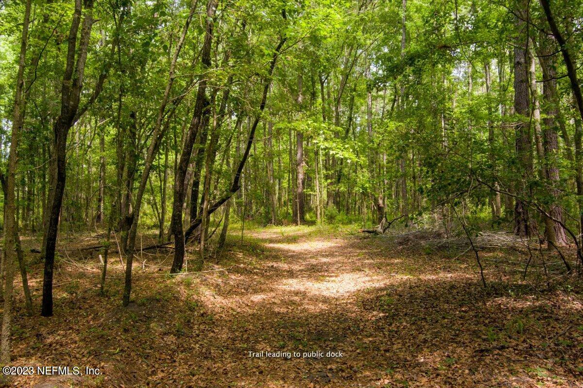 208 Tinsley Road Florahome, FL 32140 - Photo 61 of 71 a view of backyard with green space