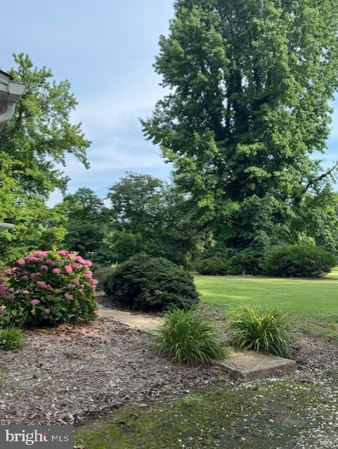 1410 Stepney Road Annapolis, MD 21409 - Photo 5 of 30 a view of a garden with plants and large trees