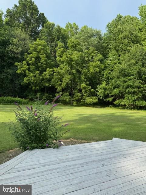 1410 Stepney Road Annapolis, MD 21409 - Photo 6 of 30 a view of a yard with a house