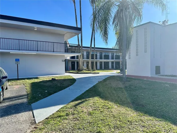 a view of a backyard with plants