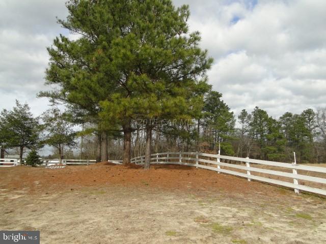 33847 Bob Smith Road Pittsville, MD 21850 - Photo 16 of 16 Gallery Image 16