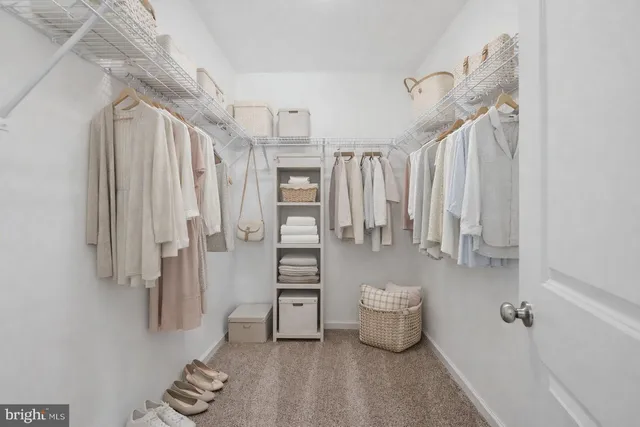 a bathroom with a shower and a toilet