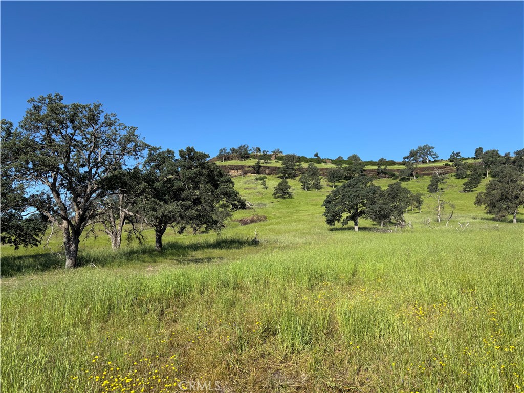 0 Cobble Creek Road Oroville, CA 95965 - Photo 34 of 55 a view of grassy field with trees