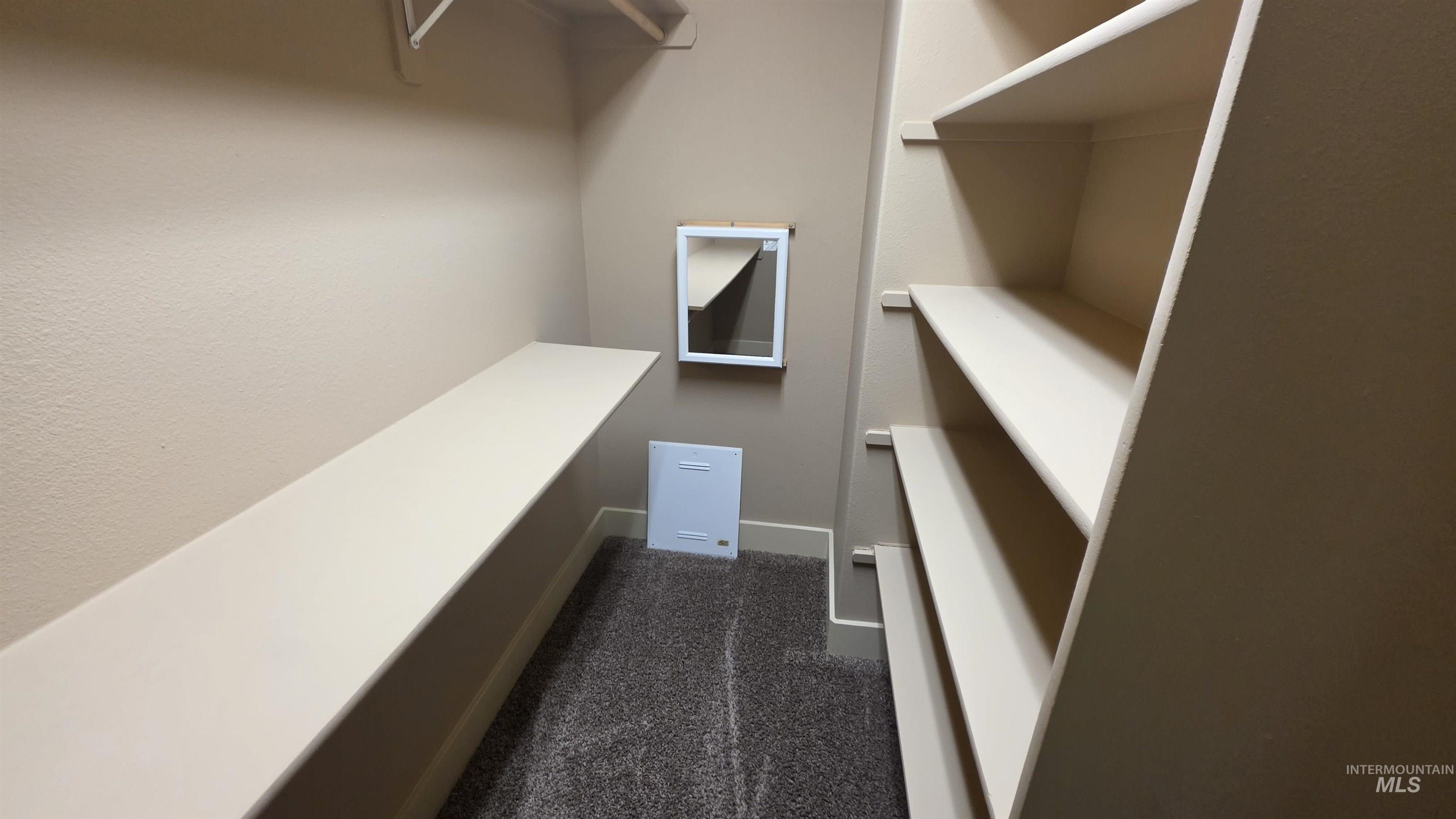 5239 West Morris Hill Road Boise, ID 83706 - Photo 16 of 19 Walk-in closet featuring carpet flooring, built-in shelving, and a wall-mounted mirror