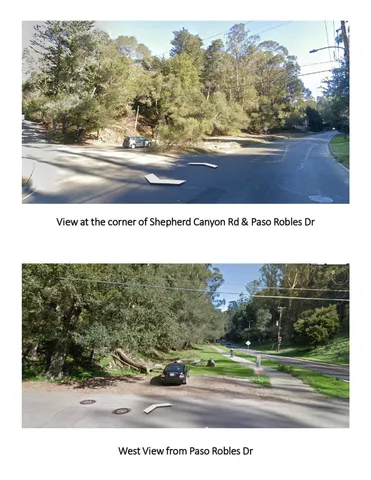 a picture of flowers