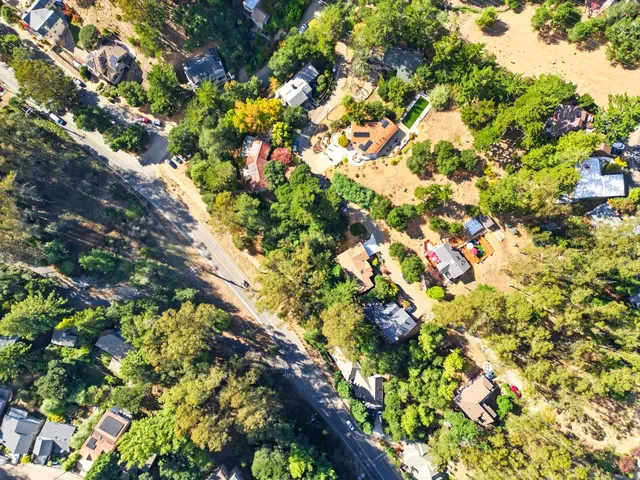 a view of flowers in bunch