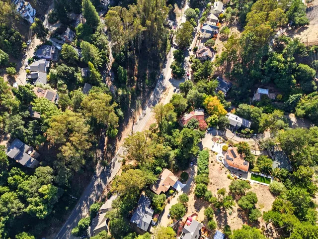 a view of a tree with plants