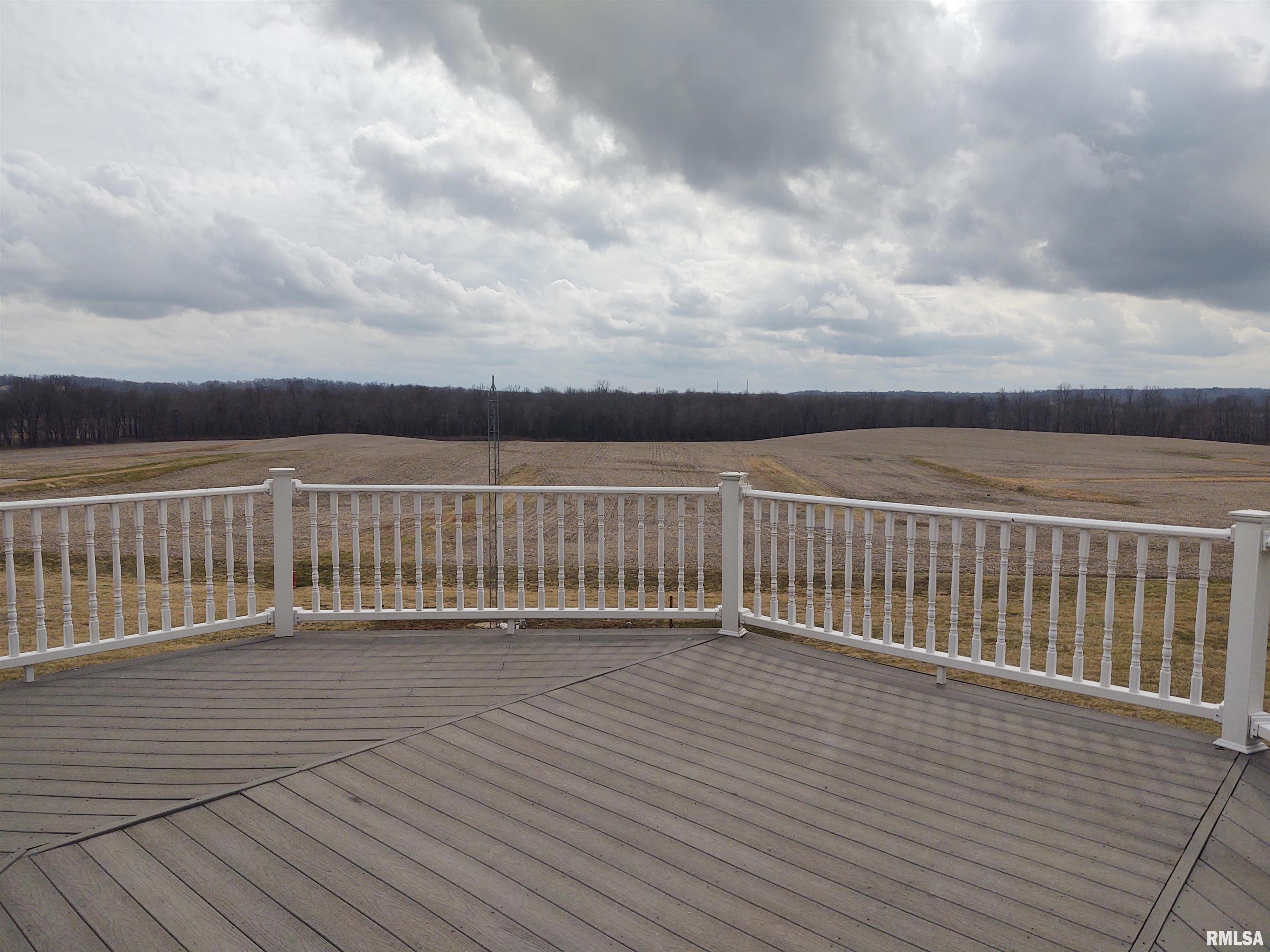 3954 Mermet Road Belknap, IL 62908 - Photo 11 of 86