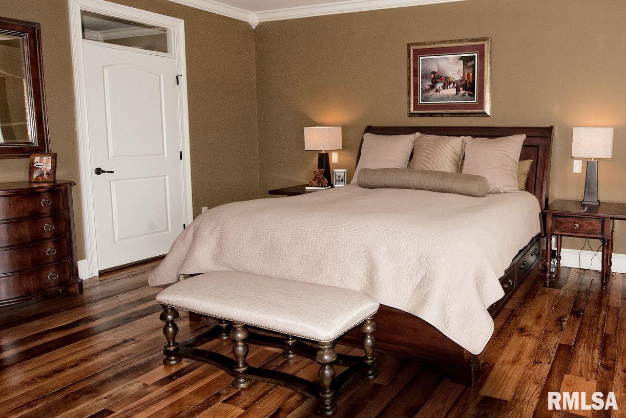 3954 Mermet Road Belknap, IL 62908 - Photo 46 of 86