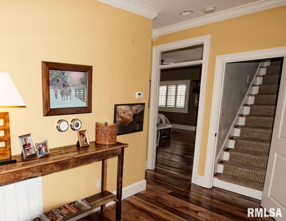 3954 Mermet Road Belknap, IL 62908 - Photo 58 of 86