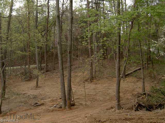 4601 Caleb Road Greensboro, NC 27409 - Photo 4 of 5 Other.