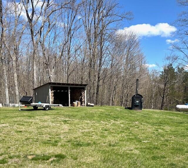 13685 Licht Road Atlanta, MI 49709 - Photo 20 of 20 Gallery Image 20