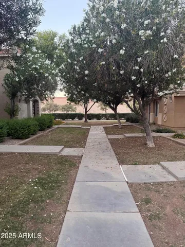 a view of backyard of house