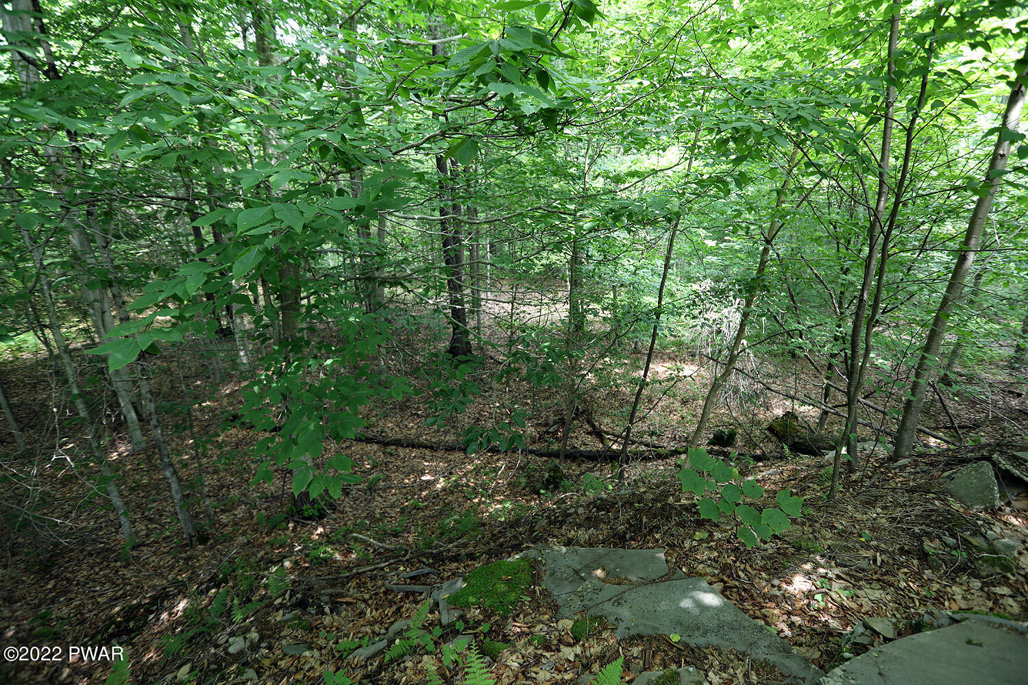0 Minckler Mountain Road Damascus, PA 18415 - Photo 33 of 43