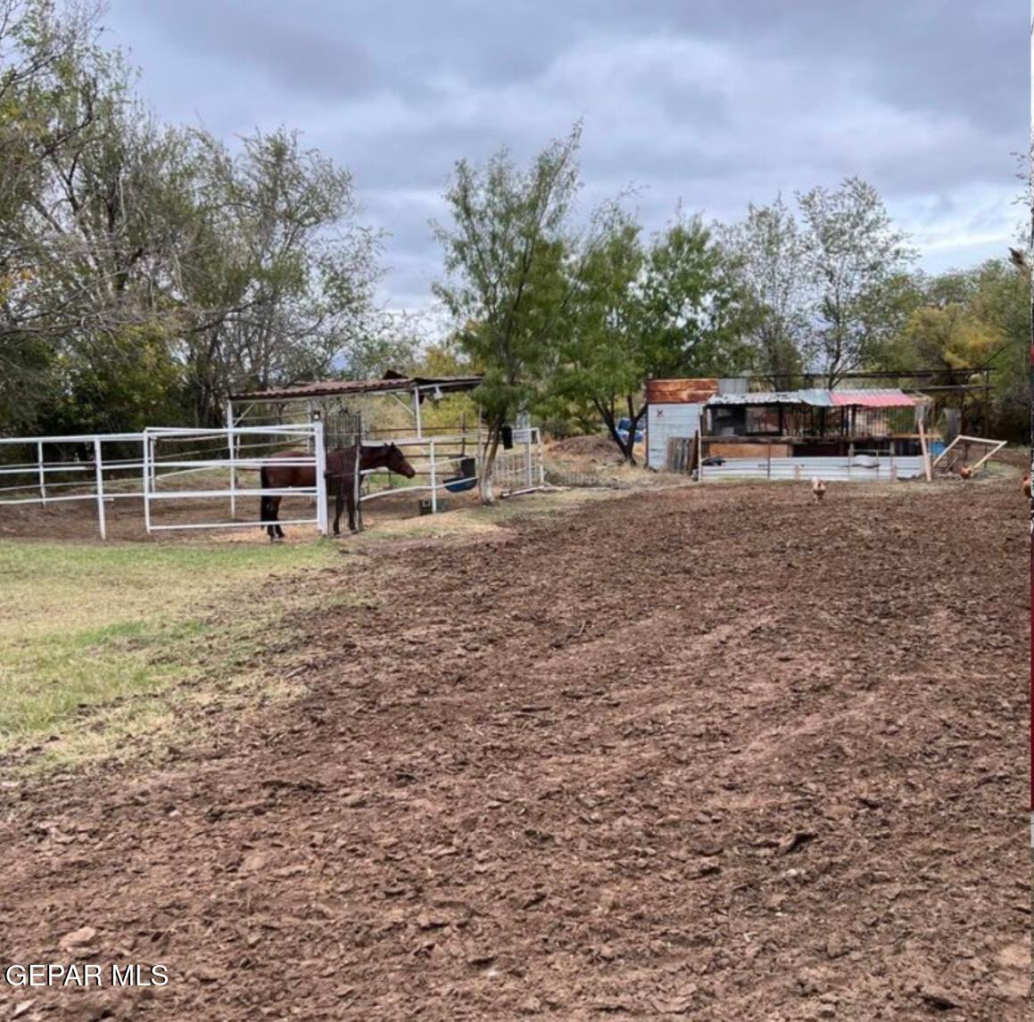 4015 Emory Road El Paso, TX 79922 - Photo 9 of 9 a front view of a house with a yard